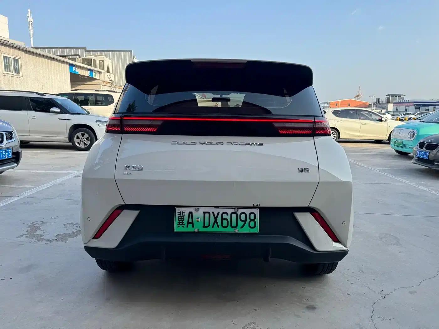 Seagull 2024 Glory Edition 305km Freedom Edition — миниатюра 5