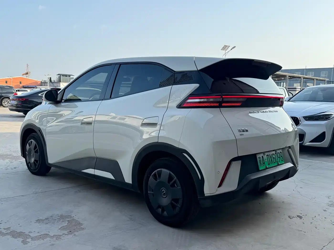 Seagull 2024 Glory Edition 305km Freedom Edition — миниатюра 6