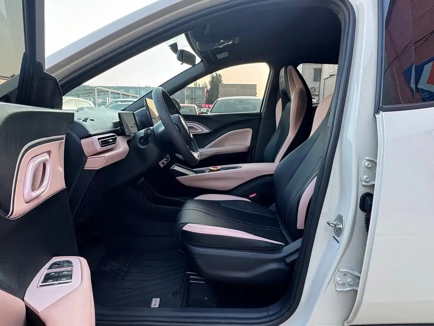 Seagull 2024 Glory Edition 305km Freedom Edition — миниатюра 7