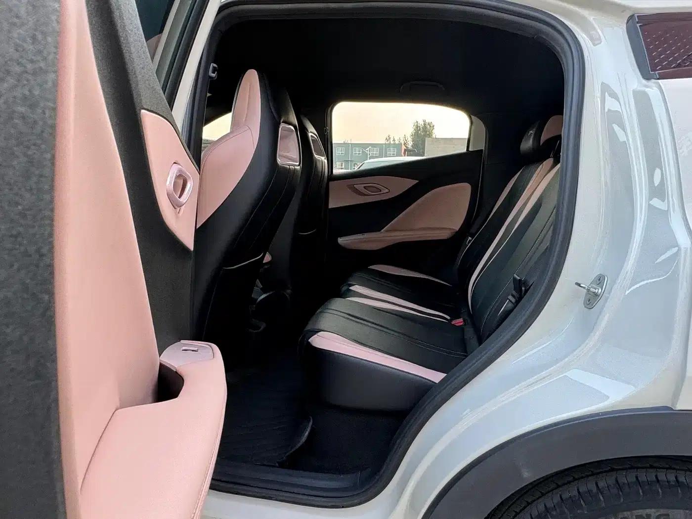 Seagull 2024 Glory Edition 305km Freedom Edition — миниатюра 8