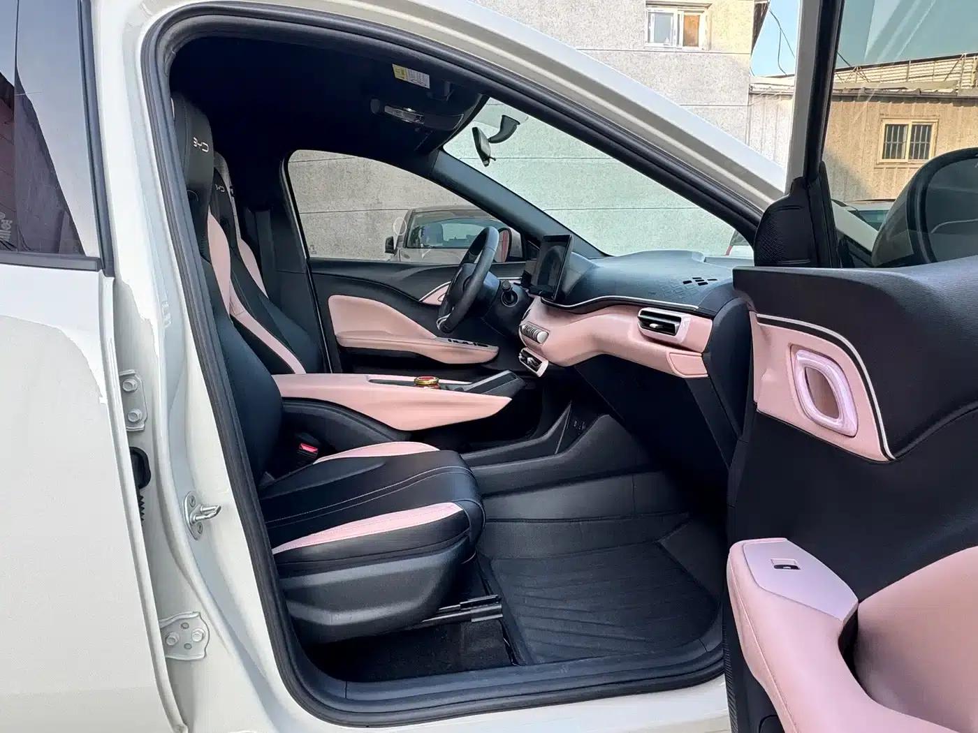 Seagull 2024 Glory Edition 305km Freedom Edition — миниатюра 9