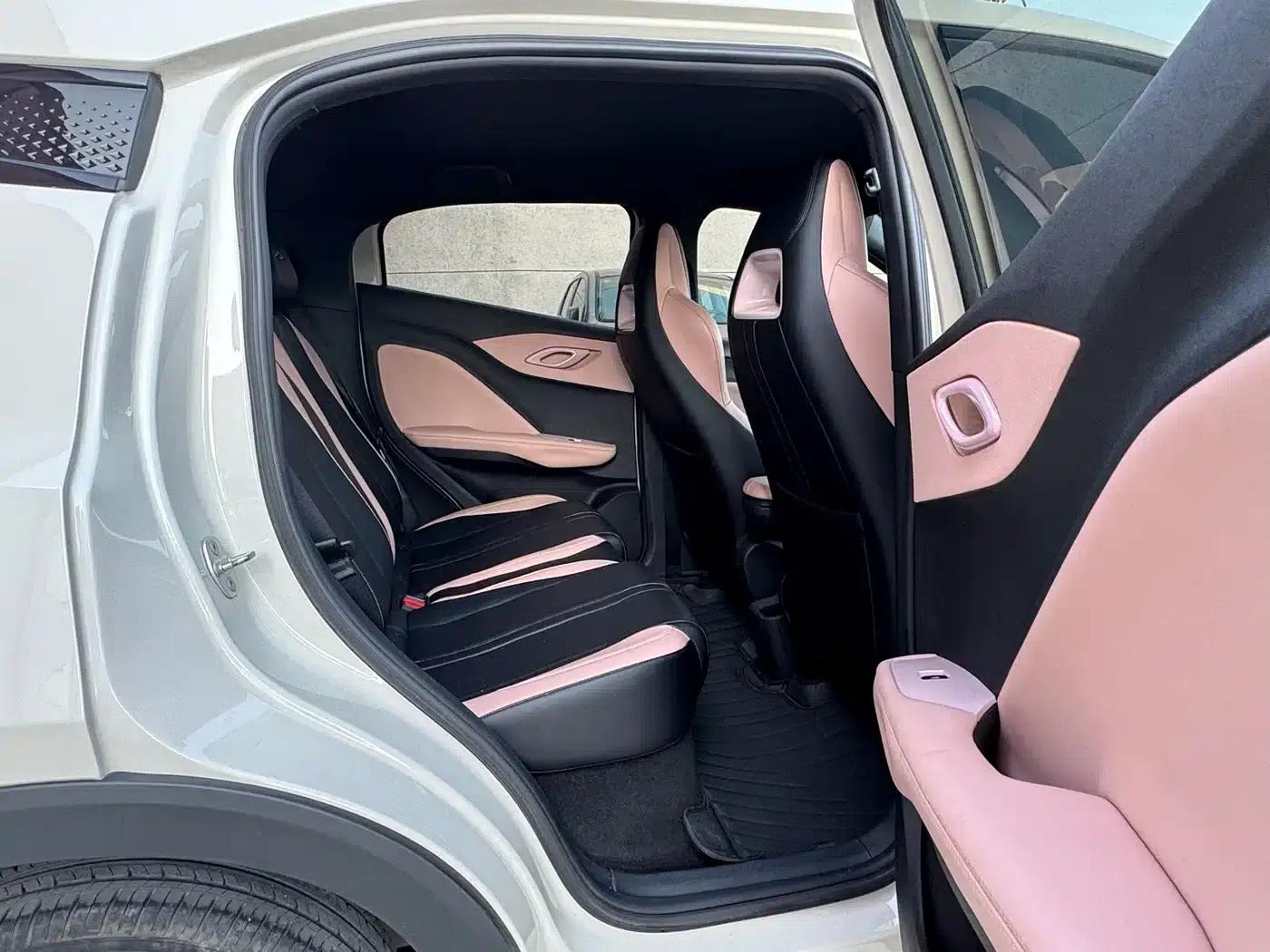 Seagull 2024 Glory Edition 305km Freedom Edition — миниатюра 10