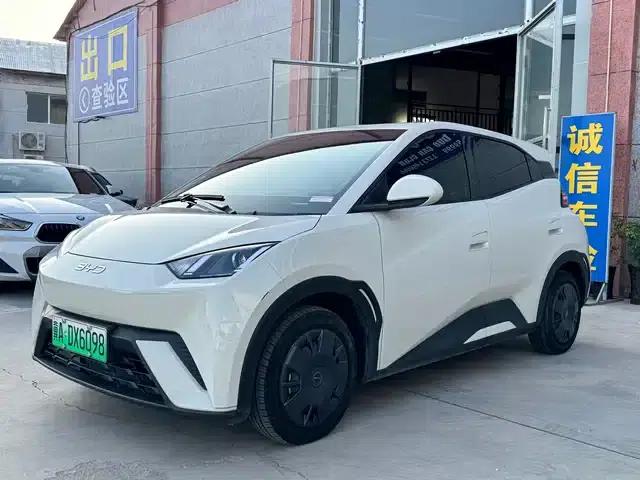 Seagull 2024 Glory Edition 305km Freedom Edition