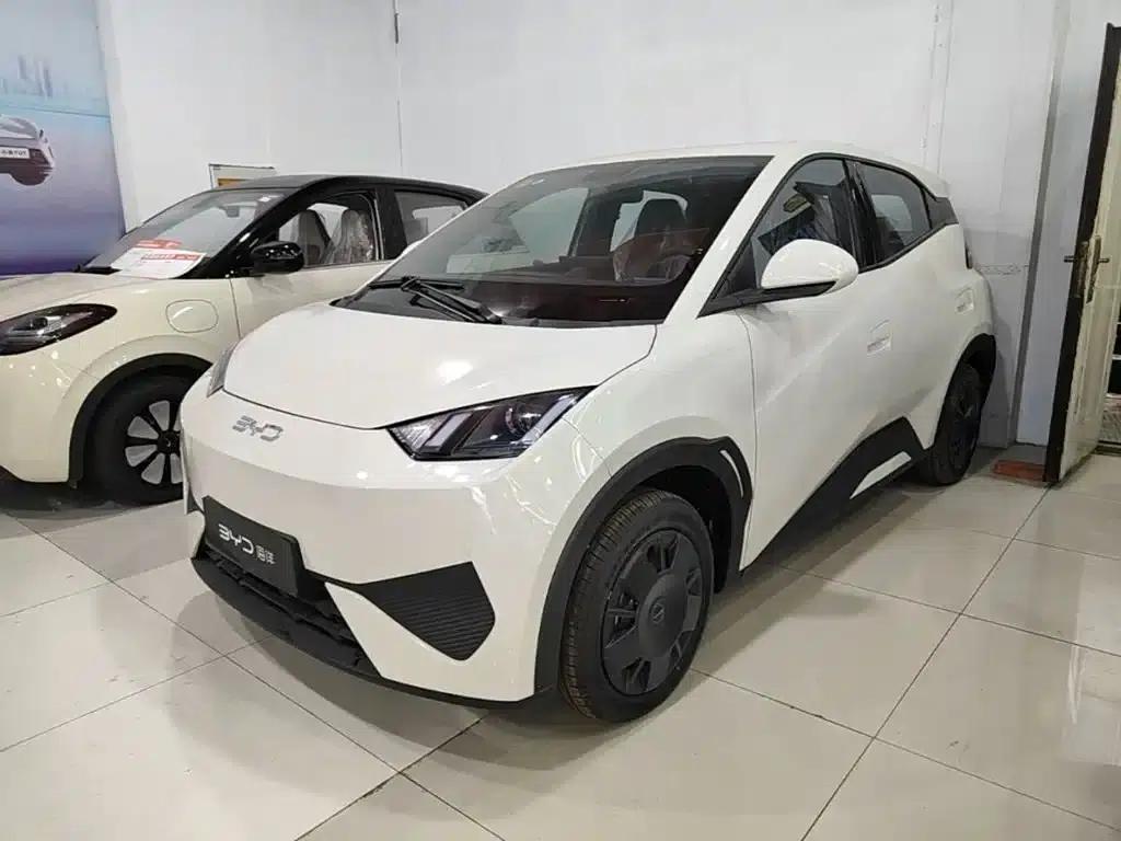 Seagull 2025 Smart Driving Edition 305km Vitality Edition — миниатюра 1