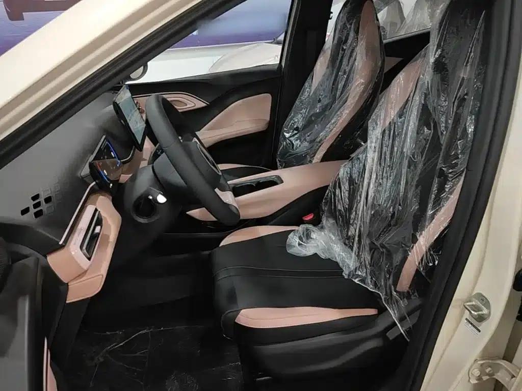 Seagull 2025 Smart Driving Edition 305km Vitality Edition — миниатюра 15