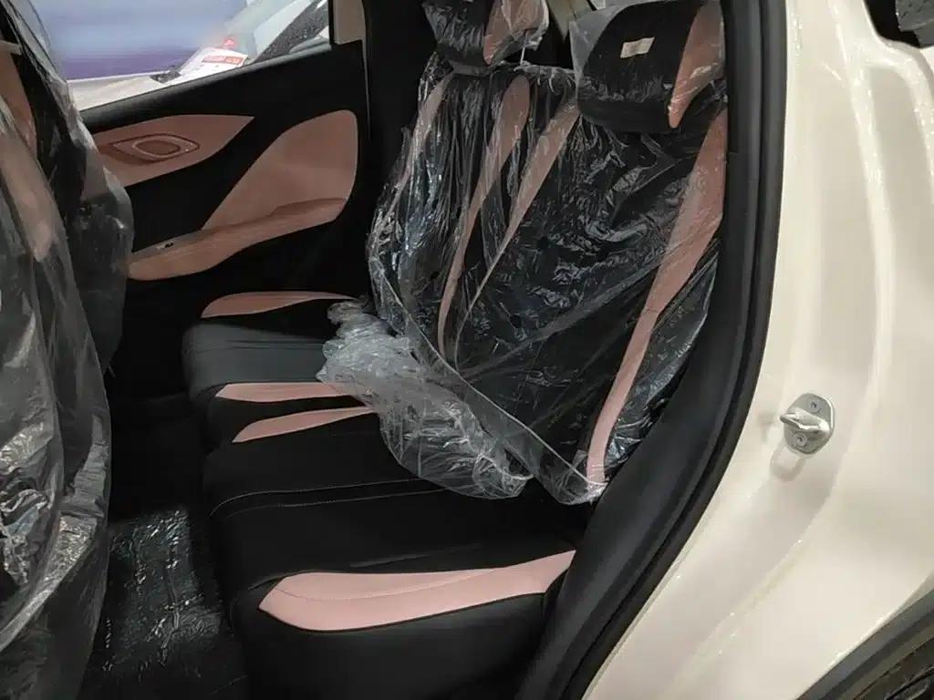 Seagull 2025 Smart Driving Edition 305km Vitality Edition — миниатюра 17