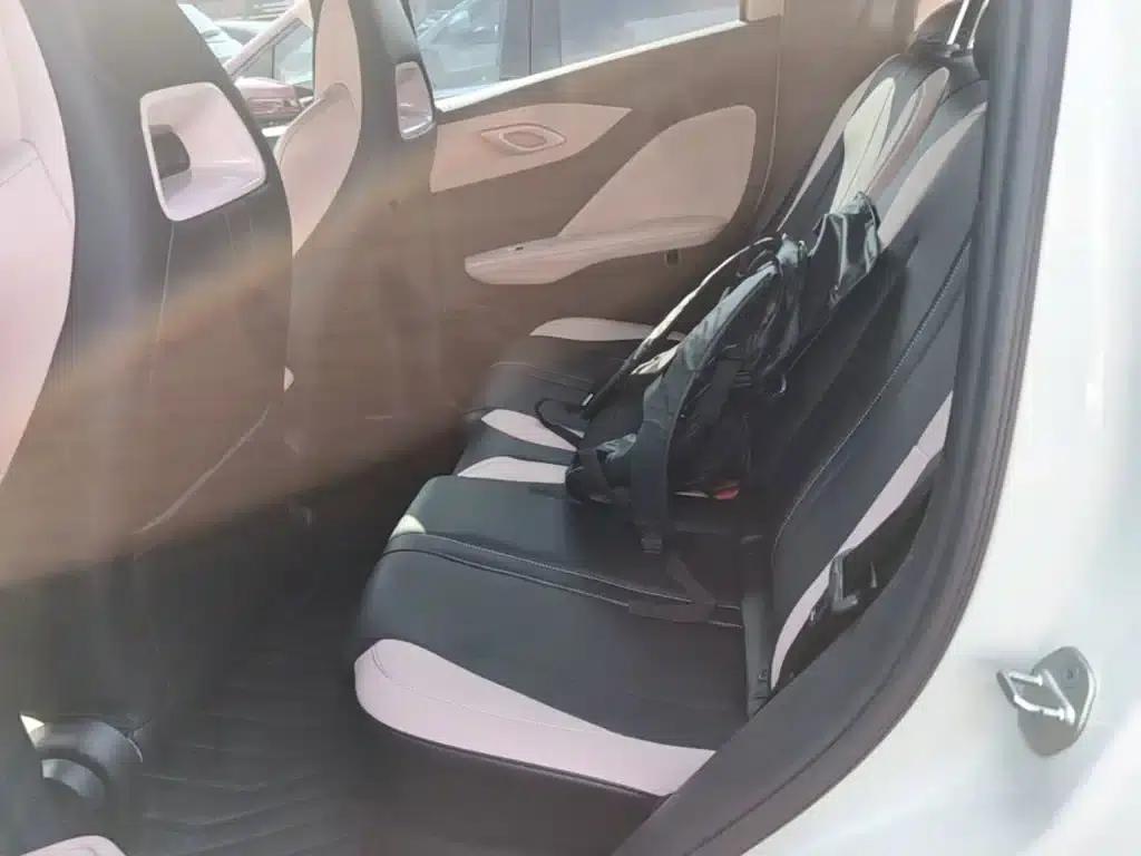 Seagull 2024 Glory Edition 305km/h Vitality Edition — миниатюра 17