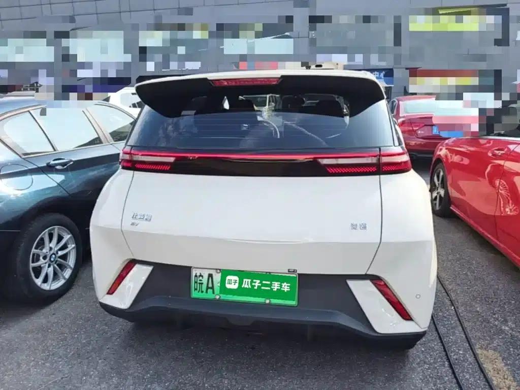 Seagull 2024 Glory Edition 305km/h Vitality Edition — миниатюра 6