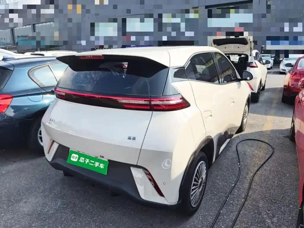 Seagull 2024 Glory Edition 305km/h Vitality Edition — миниатюра 7