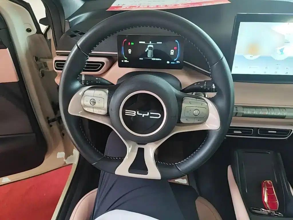 Seagull 2023 Freedom Edition — миниатюра 11