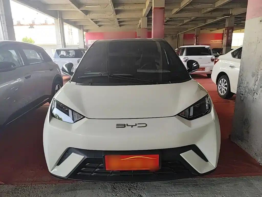 Seagull 2023 Freedom Edition — миниатюра 3