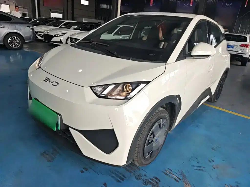 Seagull 2025 Smart Driving Edition 305km Vitality Edition — миниатюра 1