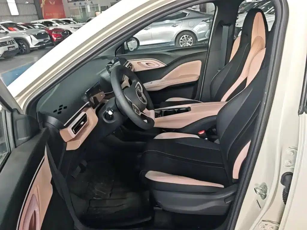 Seagull 2025 Smart Driving Edition 305km Vitality Edition — миниатюра 15