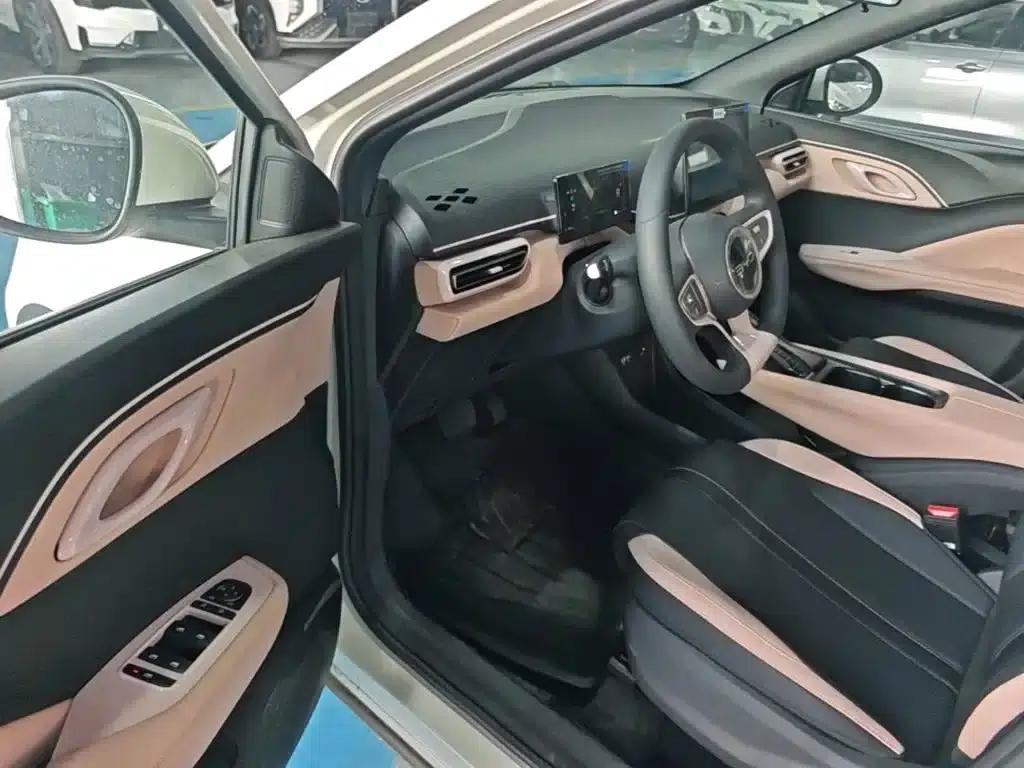 Seagull 2025 Smart Driving Edition 305km Vitality Edition — миниатюра 16