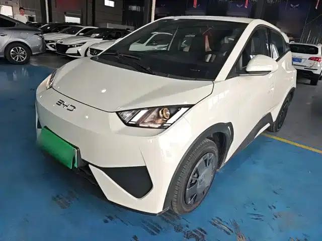 Seagull 2025 Smart Driving Edition 305km Vitality Edition
