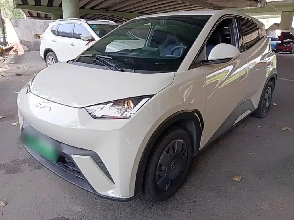 Seagull 2023 Vitality Edition — миниатюра 2