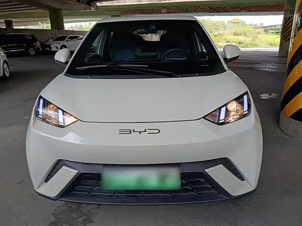 Seagull 2023 Vitality Edition — миниатюра 3