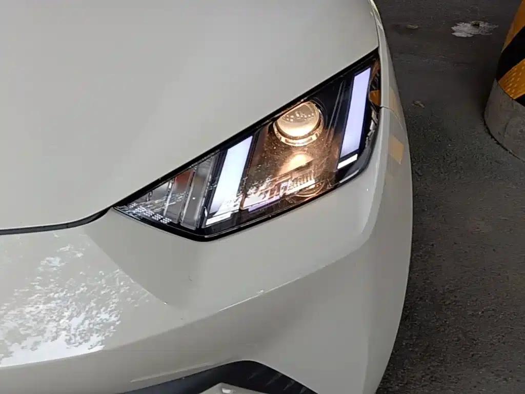 Seagull 2023 Vitality Edition — миниатюра 24