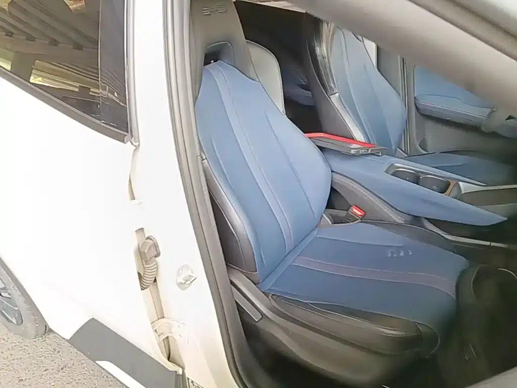 Seagull 2023 Vitality Edition — миниатюра 25