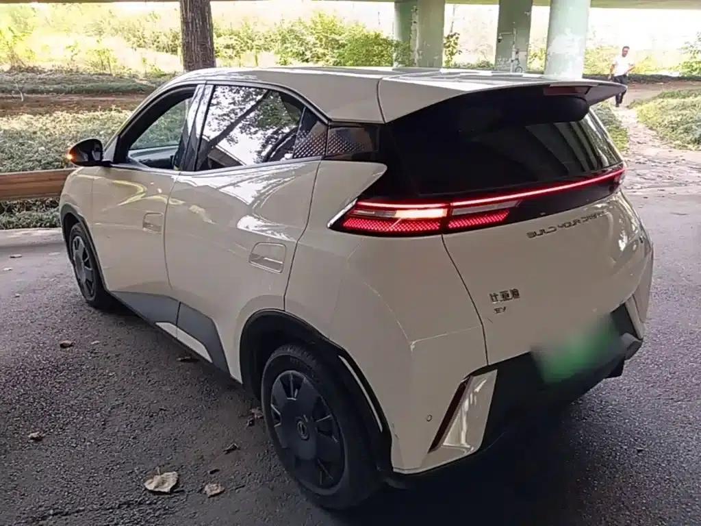Seagull 2023 Vitality Edition — миниатюра 5