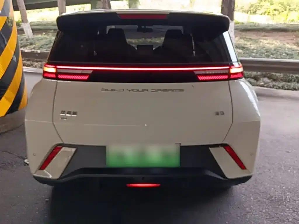 Seagull 2023 Vitality Edition — миниатюра 6