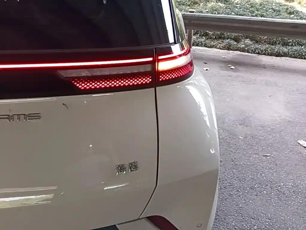 Seagull 2023 Vitality Edition — миниатюра 8