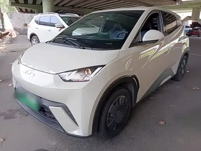 Seagull 2023 Vitality Edition