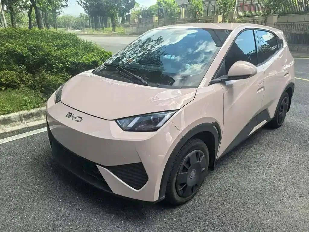 Seagull 2025 Smart Driving Edition 305km Vitality Edition — миниатюра 1