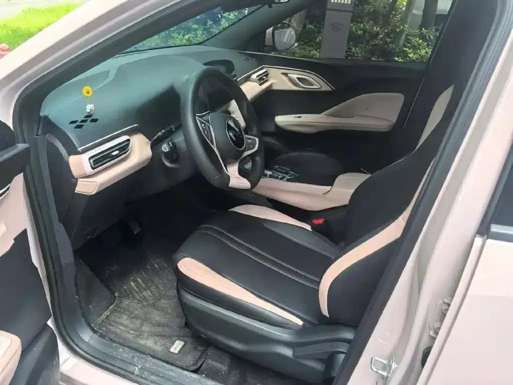 Seagull 2025 Smart Driving Edition 305km Vitality Edition — миниатюра 17