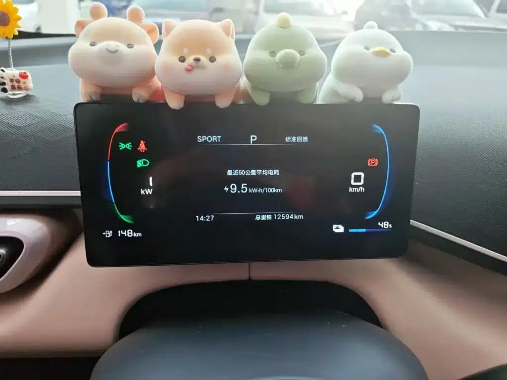 Seagull 2025 Smart Driving Edition 305km Vitality Edition — миниатюра 6