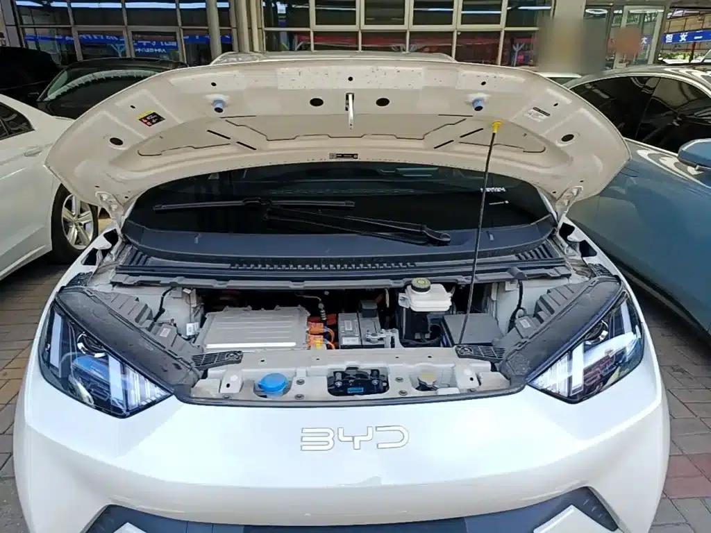 Seagull 2024 Glory Edition 305km/h Vitality Edition — миниатюра 20