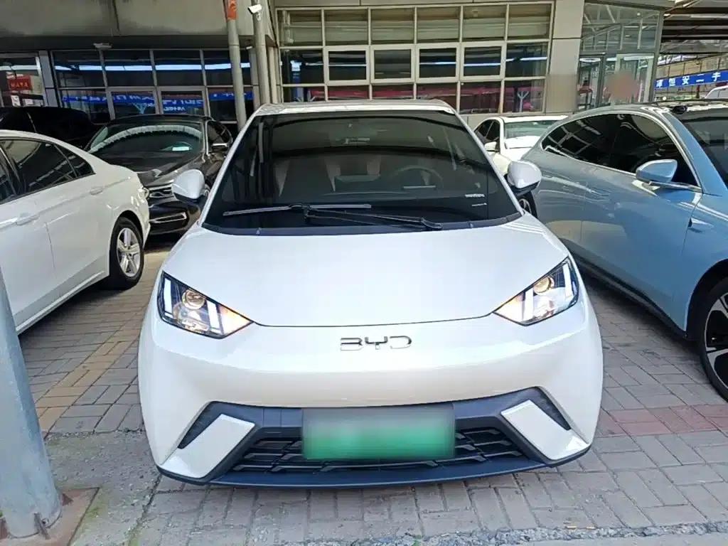 Seagull 2024 Glory Edition 305km/h Vitality Edition — миниатюра 3