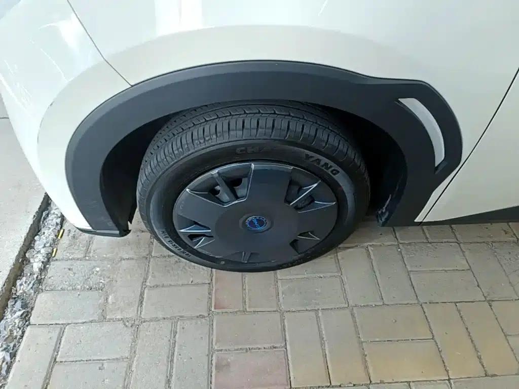 Seagull 2024 Glory Edition 305km/h Vitality Edition — миниатюра 23