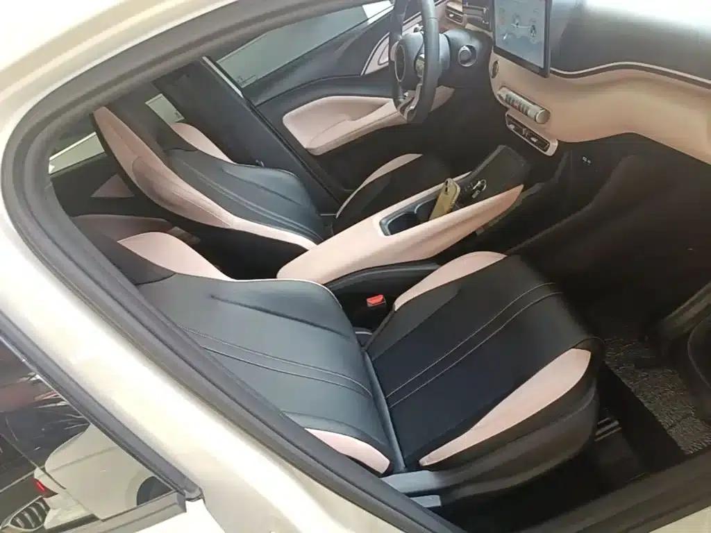Seagull 2024 Glory Edition 305km/h Vitality Edition — миниатюра 25