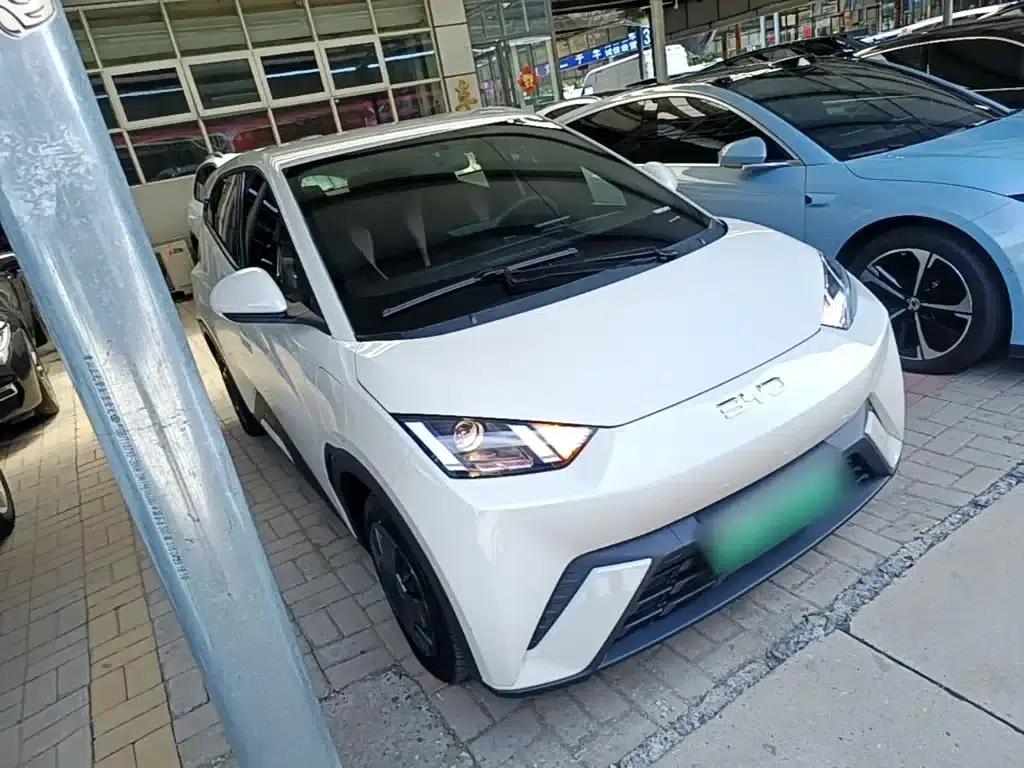 Seagull 2024 Glory Edition 305km/h Vitality Edition — миниатюра 4