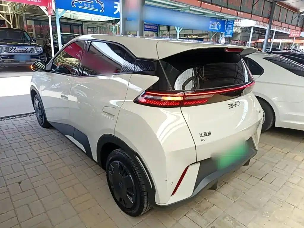 Seagull 2024 Glory Edition 305km/h Vitality Edition — миниатюра 5