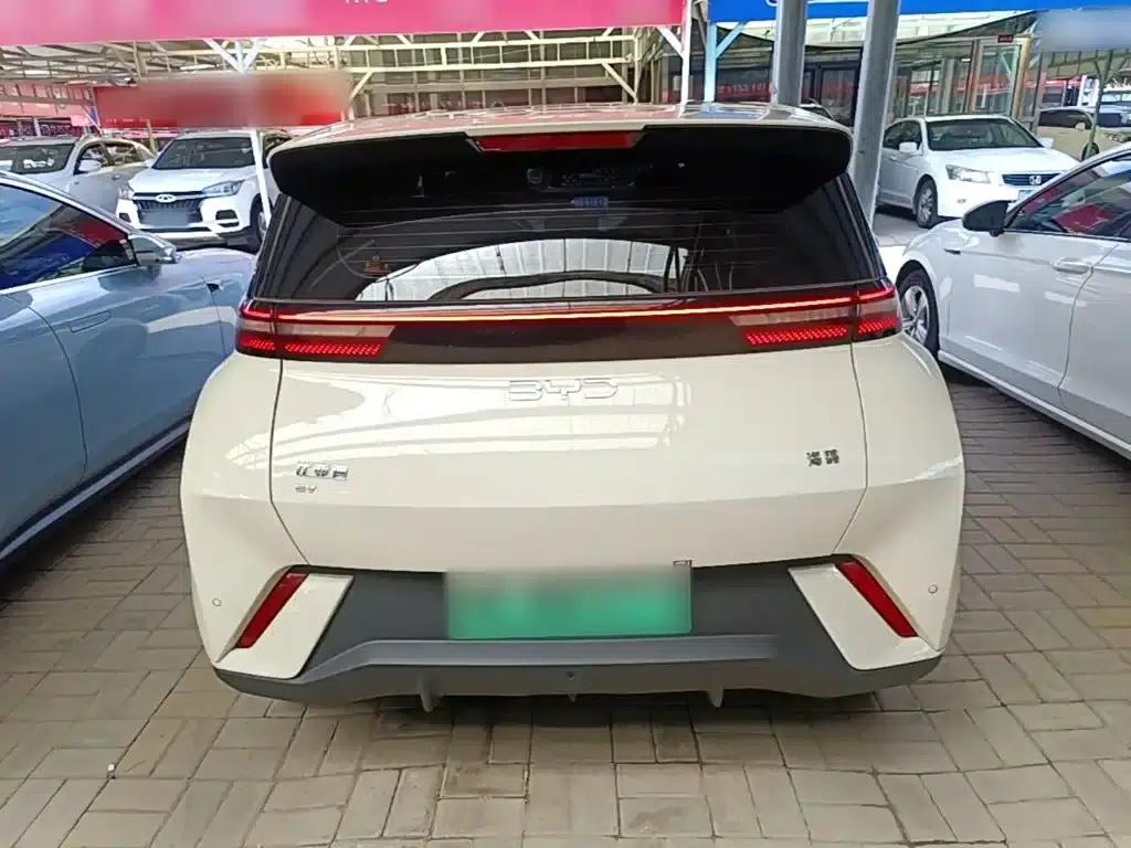 Seagull 2024 Glory Edition 305km/h Vitality Edition — миниатюра 6