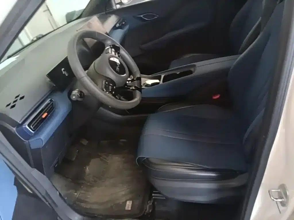 Seagull 2024 Glory Edition 305km/h Vitality Edition — миниатюра 15