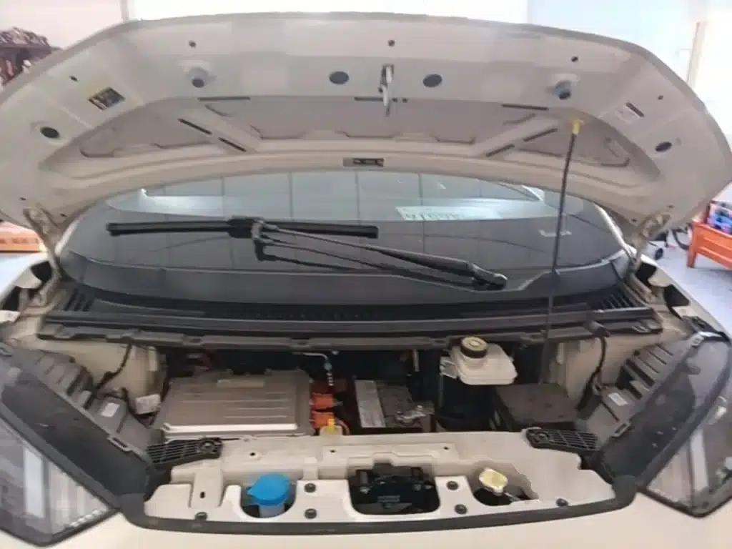 Seagull 2024 Glory Edition 305km/h Vitality Edition — миниатюра 20
