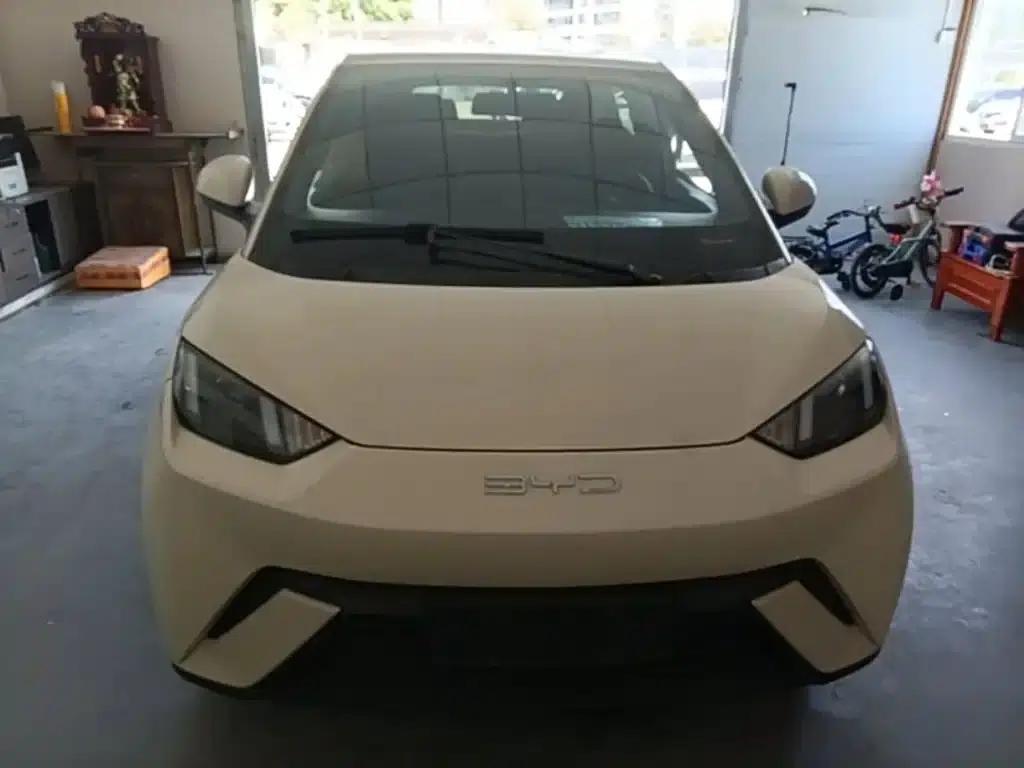 Seagull 2024 Glory Edition 305km/h Vitality Edition — миниатюра 3