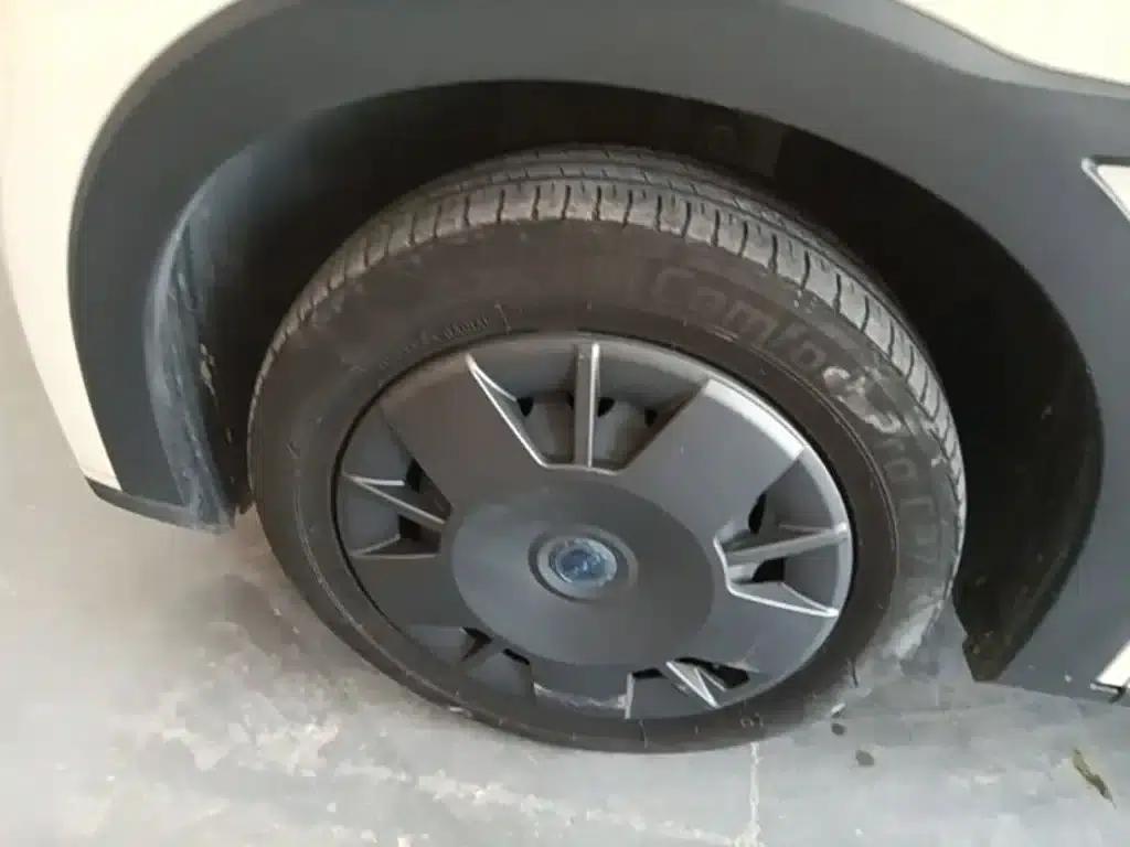 Seagull 2024 Glory Edition 305km/h Vitality Edition — миниатюра 23