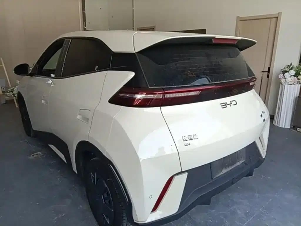 Seagull 2024 Glory Edition 305km/h Vitality Edition — миниатюра 5