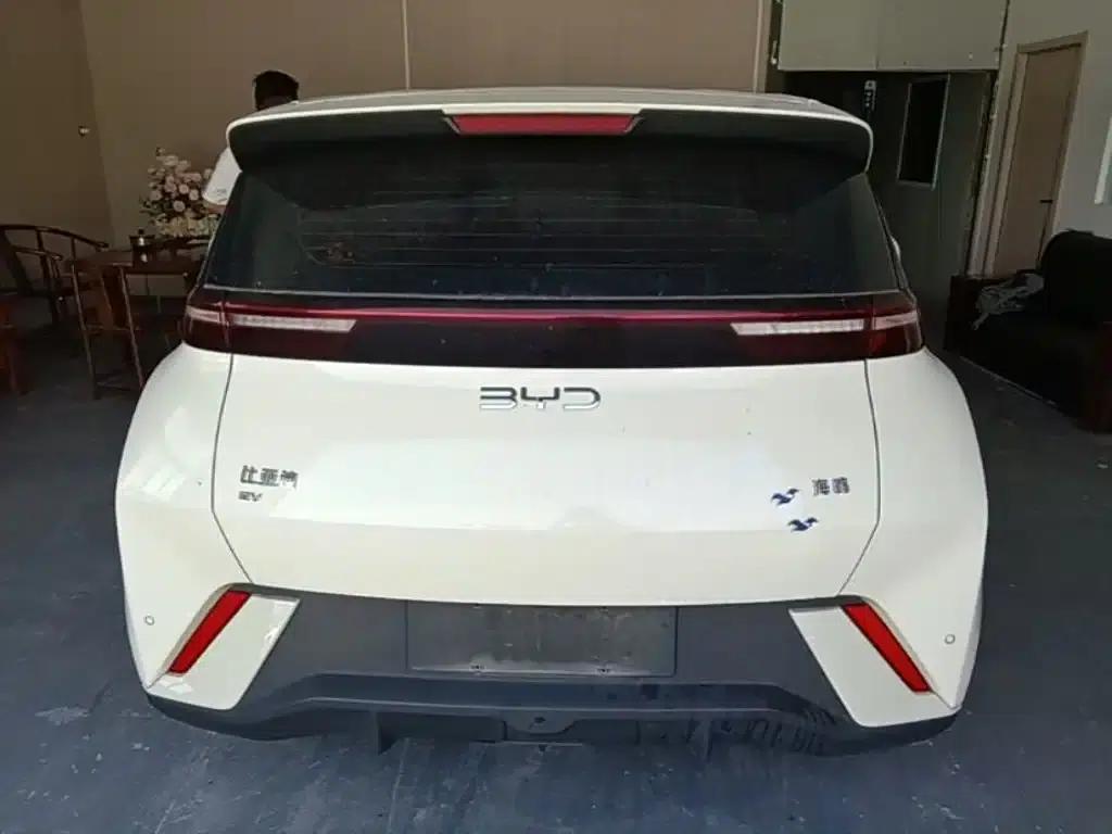 Seagull 2024 Glory Edition 305km/h Vitality Edition — миниатюра 6