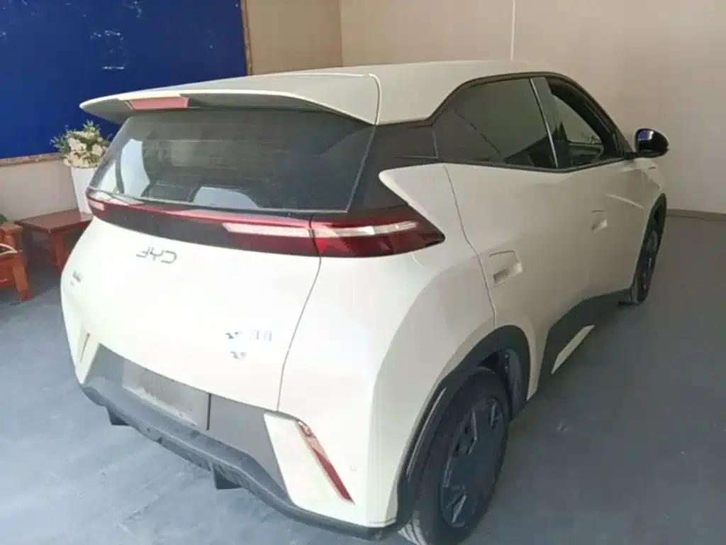 Seagull 2024 Glory Edition 305km/h Vitality Edition — миниатюра 7