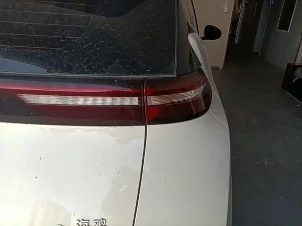 Seagull 2024 Glory Edition 305km/h Vitality Edition — миниатюра 8