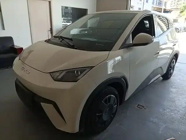 Seagull 2024 Glory Edition 305km/h Vitality Edition
