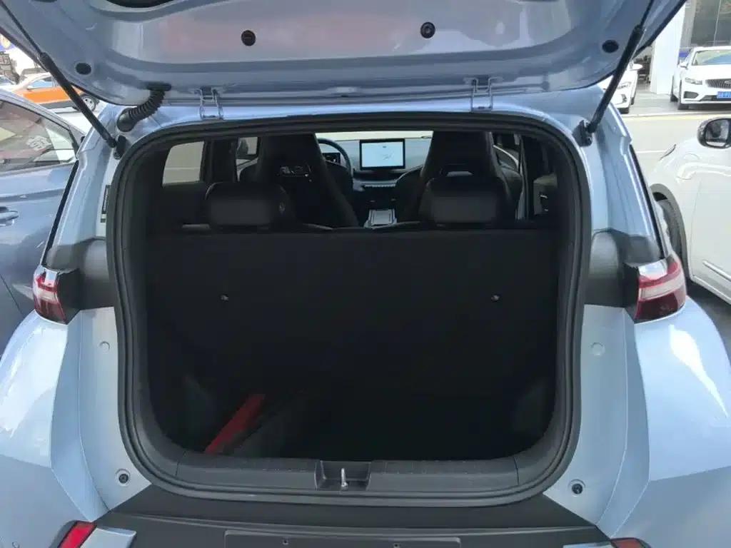 Seagull 2025 305km Freedom Edition — миниатюра 19