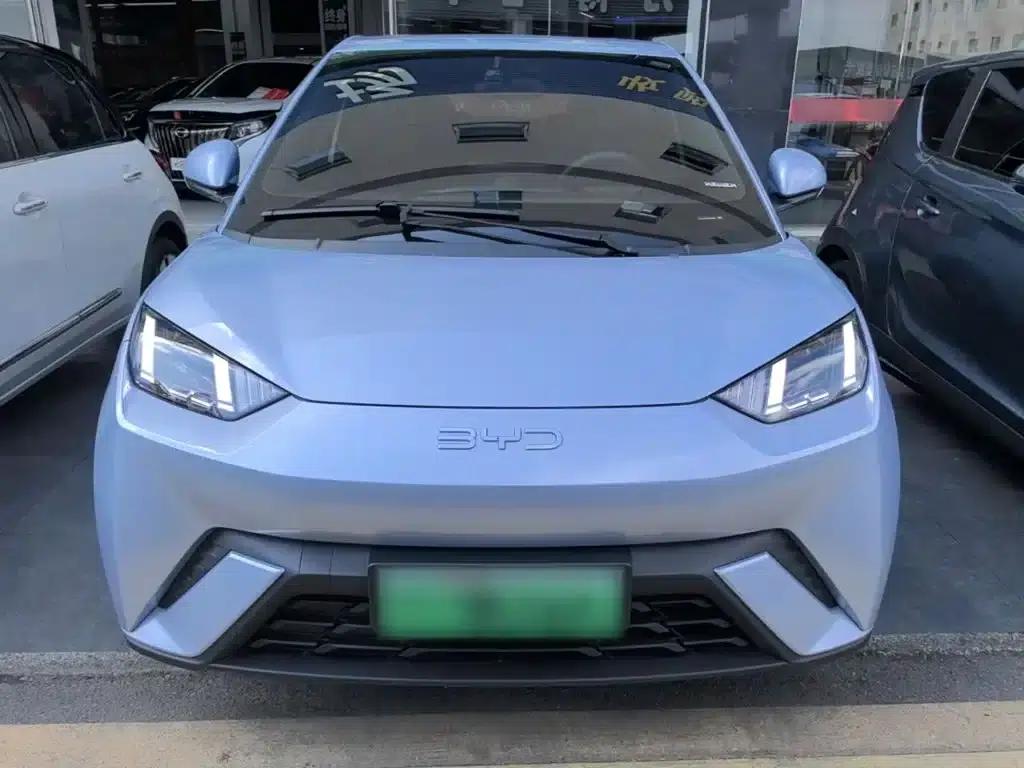 Seagull 2025 305km Freedom Edition — миниатюра 3