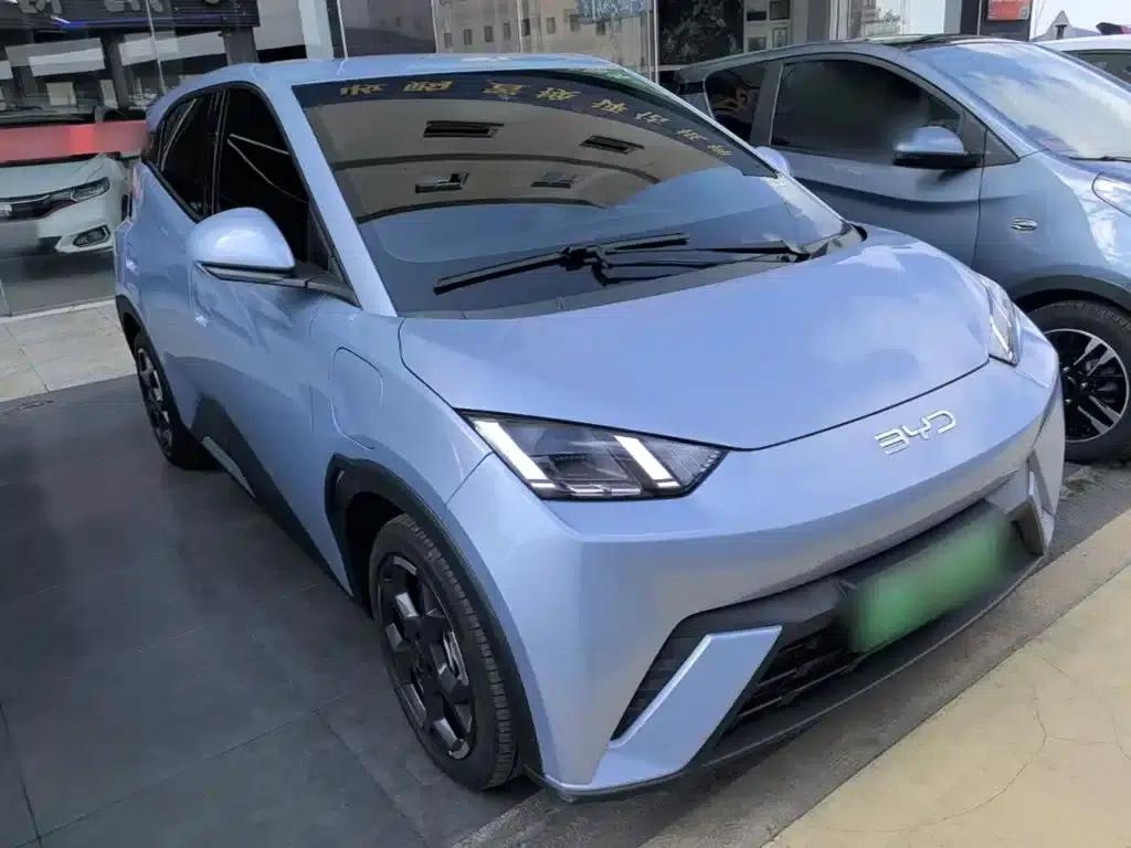 Seagull 2025 305km Freedom Edition — миниатюра 4