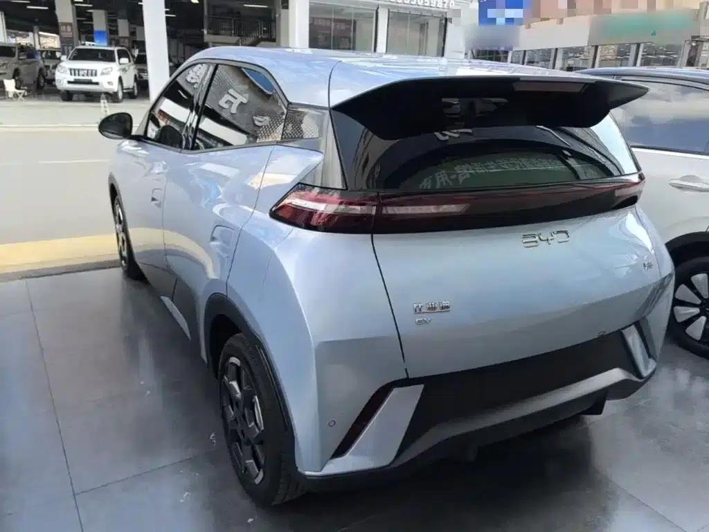 Seagull 2025 305km Freedom Edition — миниатюра 5